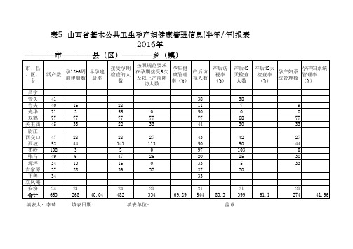 基本公共卫生妇幼项目报表明细