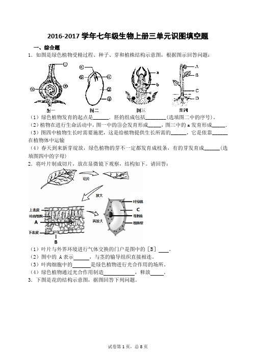 2016-2017学年七年级生物上册第三单元复习填空题