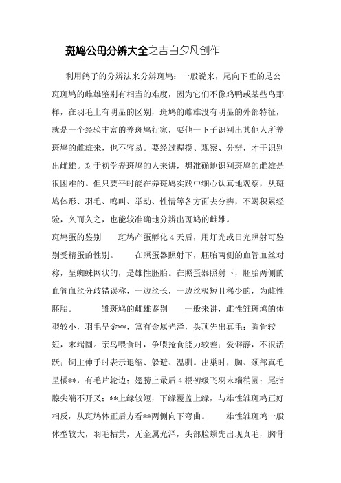 斑鸠公母分辨大全