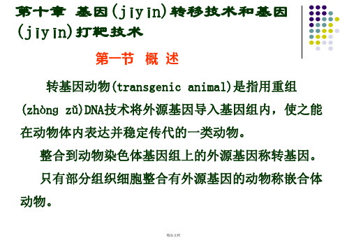 基因转移技术和基因打靶技术