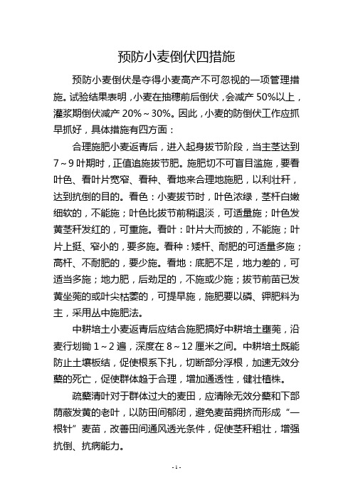 预防小麦倒伏四措施