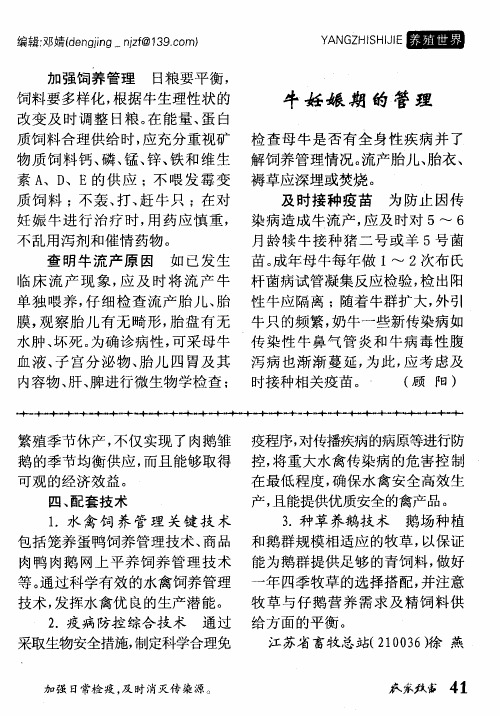 牛妊娠期的管理