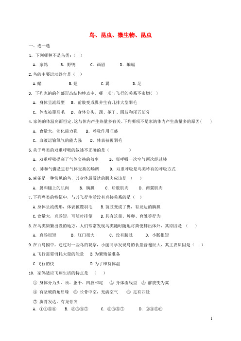 江苏省灌南县七年级生物下册鸟类、昆虫、微生物练习 苏科版