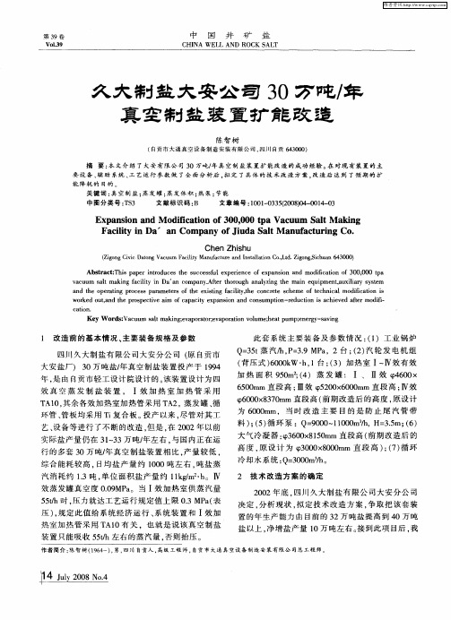 久大制盐大安公司30万吨／年真空制盐装置扩能改造