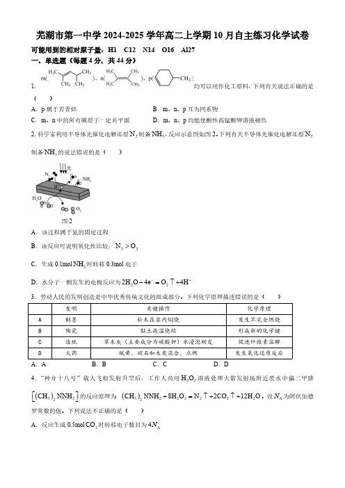 安徽省芜湖市第一中学2024-2025学年高二上学期10月自主练习化学试题(含答案)