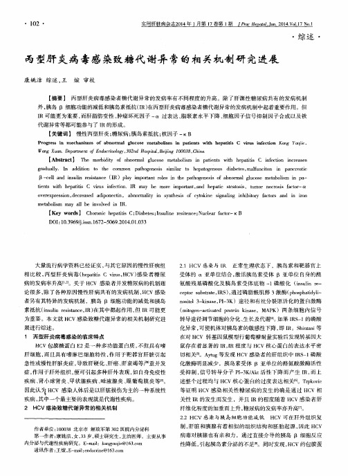 丙型肝炎病毒感染致糖代谢异常的相关机制研究进展
