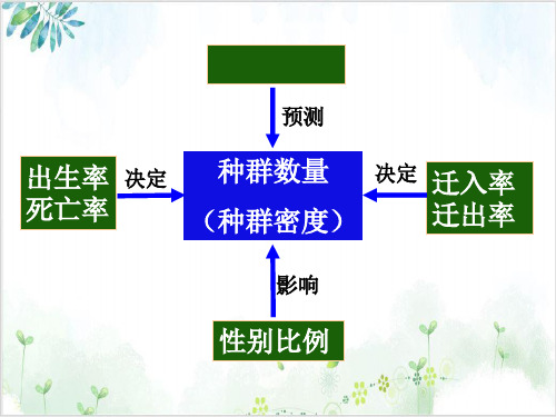 人教版高中生物必修三种群数量的变化(27张)-PPT优秀课件