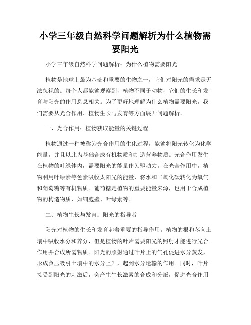 小学三年级自然科学问题解析为什么植物需要阳光