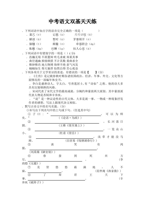 中考语文双基天天练16