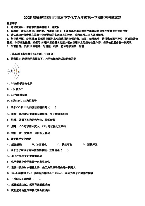 2025届福建省厦门市湖滨中学化学九年级第一学期期末考试试题含解析