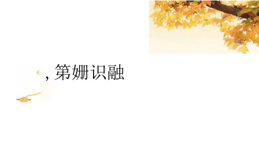 一年级语文下学期第八单元知识总结(有无答案)