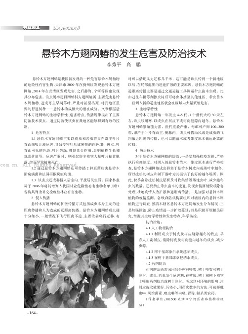 悬铃木方翅网蝽的发生危害及防治技术