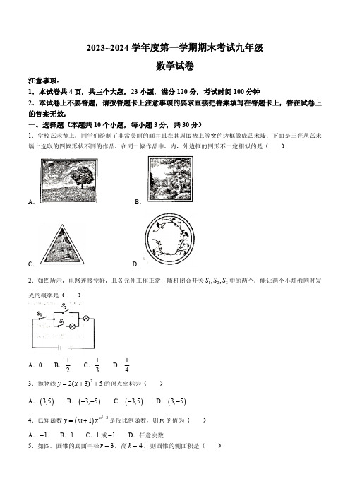 河南省漯河市临颍县2023-2024学年九年级上学期期末数学试题(含部分答案)