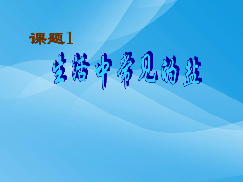 生活中常见的盐PPT课件11 人教版优质课件