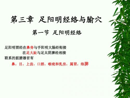 3胃经