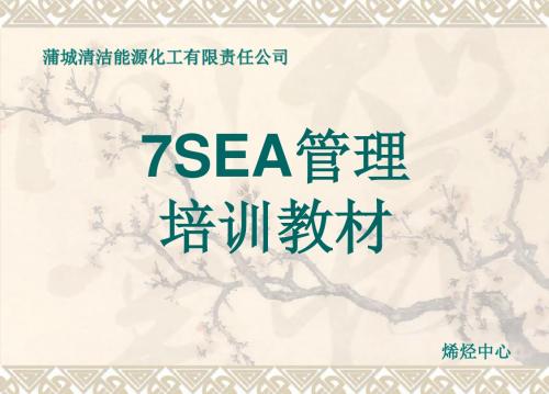 7SEA简介