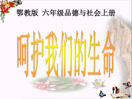 六年级品德与社会上册呵护我们的生命精选教学PPT课件3鄂教版