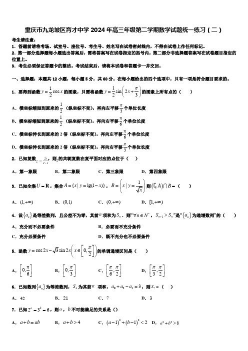 重庆市九龙坡区育才中学2024年高三年级第二学期数学试题统一练习(二)