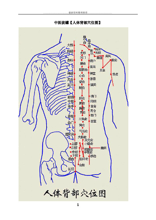 中医拔罐【人体背部穴位图】教案