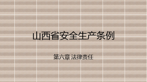 《山西省安全生产条例》第六章、第七章