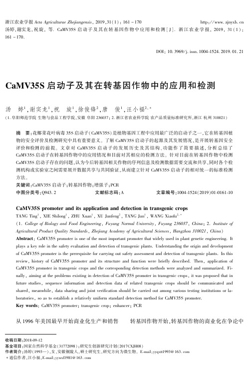 CaMV35S启动子及其在转基因作物中的应用和检测