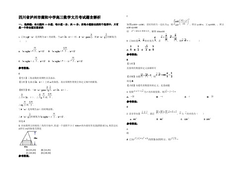 四川省泸州市蔺阳中学高三数学文月考试题含解析
