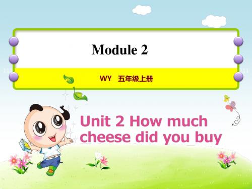外研小学英语五年级上册Module 2Unit 2 How much cheese did you buy授课课件