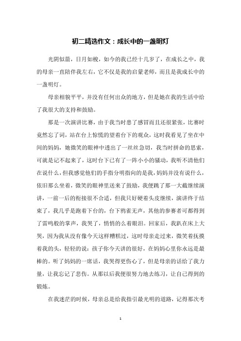 初二精选作文：成长中的一盏明灯