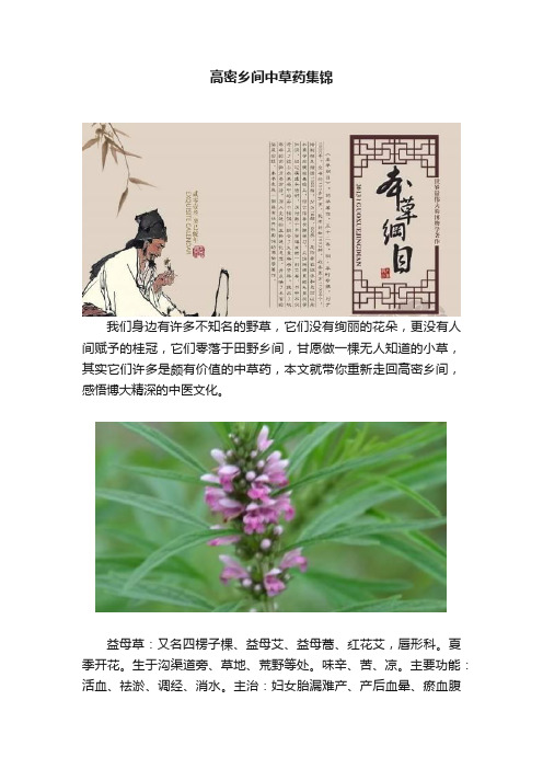 高密乡间中草药集锦