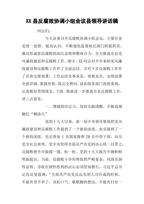 XX县反腐败协调小组会议县领导讲话稿