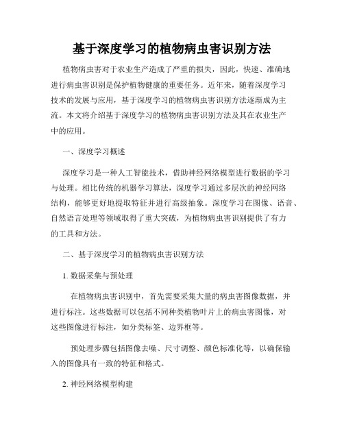 基于深度学习的植物病虫害识别方法