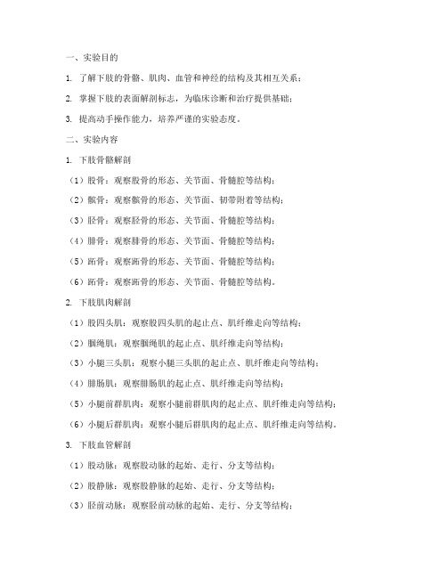 下肢局解实验报告