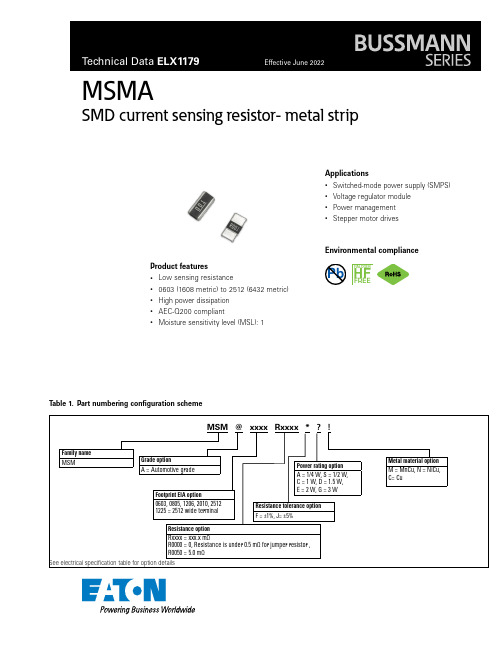 技术数据手册 ELX1179，有效日期：2022年6月，MSMA current sensing r