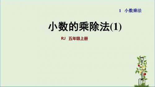 5数人教版 第1单元 小数乘法第1课时  小数乘整数