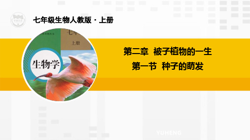 RJ人教版七年级生物上册优质教学课件 第一节 种子的萌发