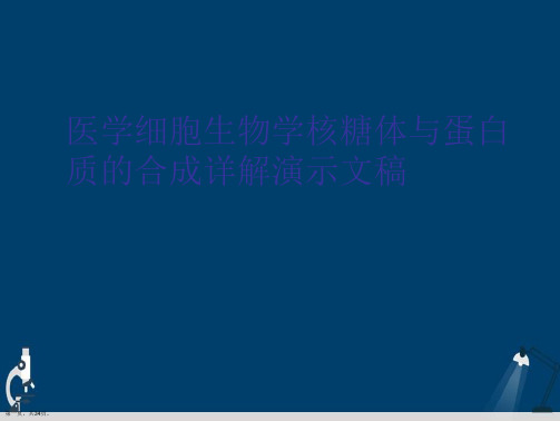 医学细胞生物学核糖体与蛋白质的合成详解演示文稿