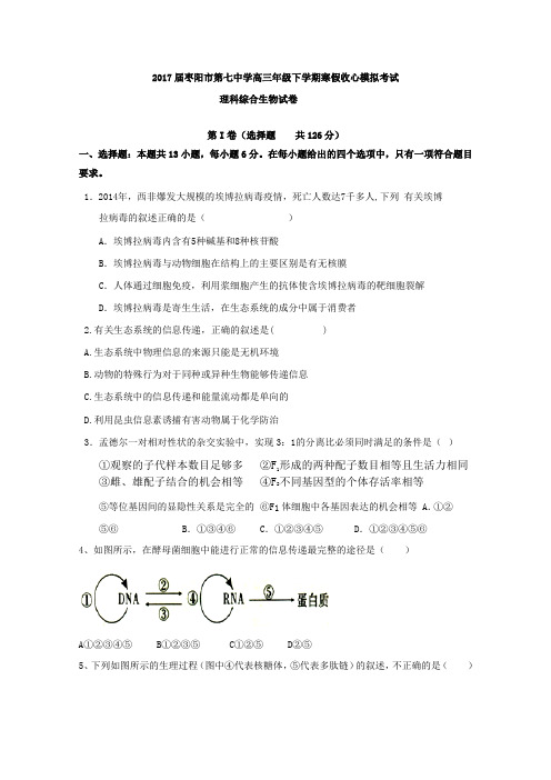 湖北省枣阳市第七中学2017届高三下学期寒假收心模拟考试理科综合生物试题