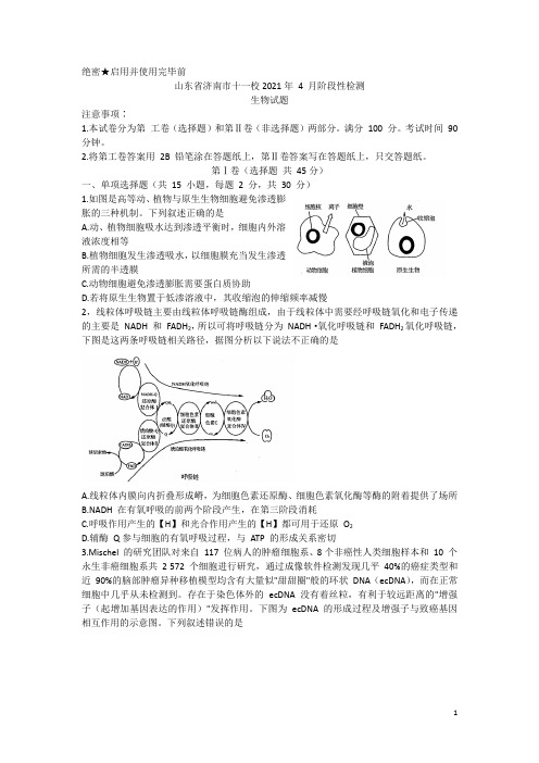 山东省济南市十一校2021届高三下学期4月(联考)阶段性检测生物试题 含答案