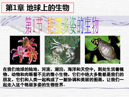 1-1艳丽多姿的生物PPT课件