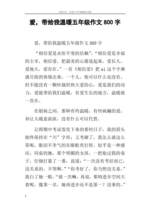 爱,带给我温暖五年级作文800字