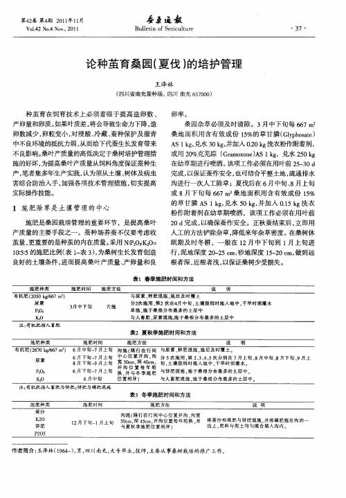 论种茧育桑园(夏伐)的培护管理