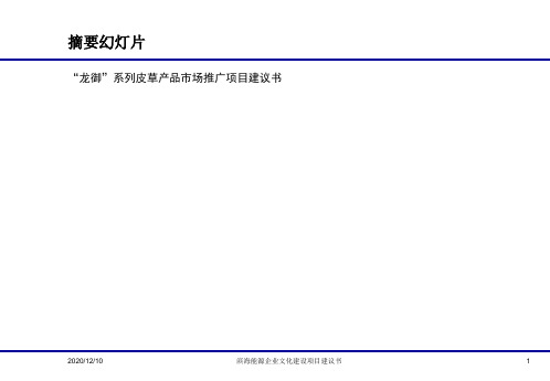 龙御品牌营销策划与市场推广项目建议书PPT教学课件