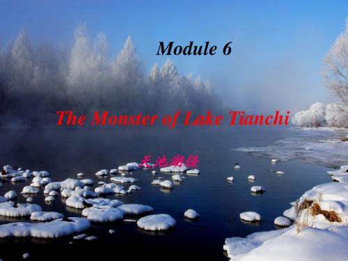 外研版高一英语必修四 Module 6 The Monster of Lake Tianchi Reading and Vocabulary课件(共15张)