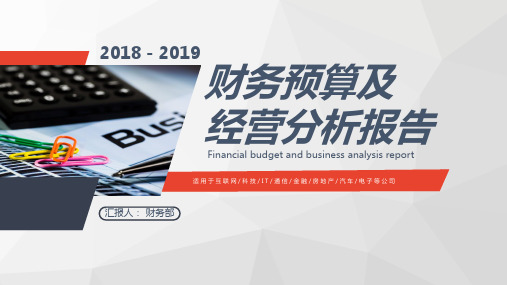 2018-2019财务预算及经营分析报告