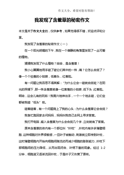 我发现了含羞草的秘密作文