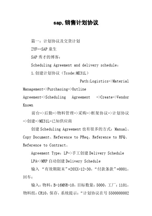 sap,销售计划协议[工作范文]