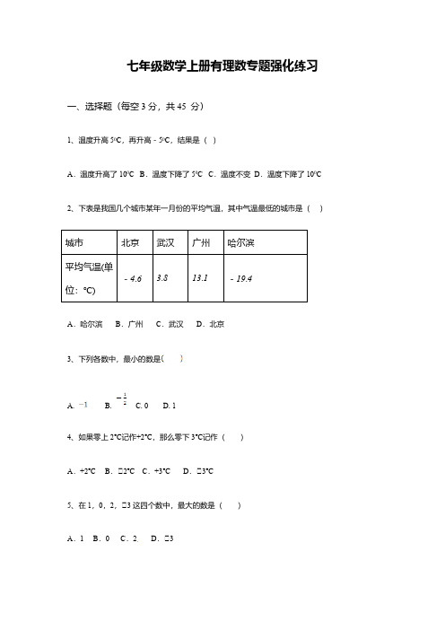 七年级数学上册有理数专题强化练习