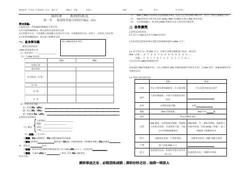 411基因指导蛋白质的合成