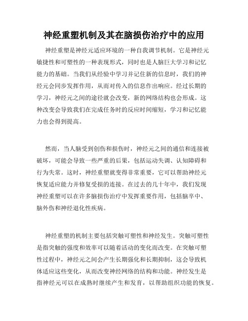 神经重塑机制及其在脑损伤治疗中的应用