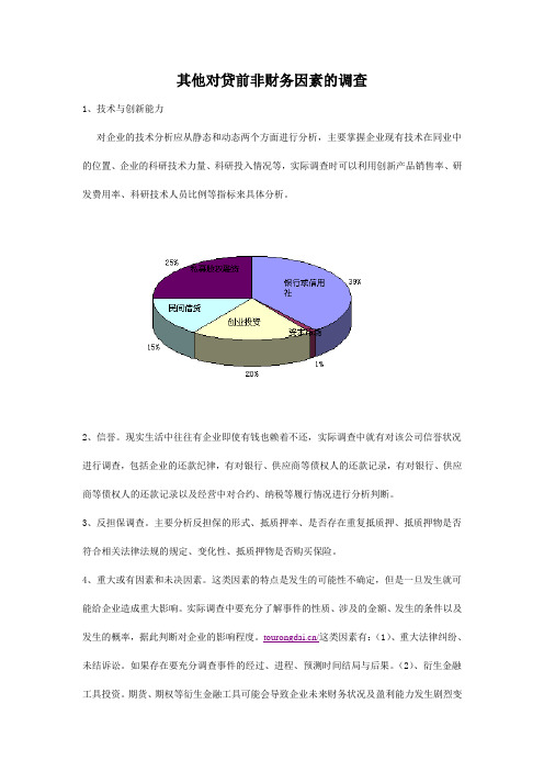 其他对贷前非财务因素的调查